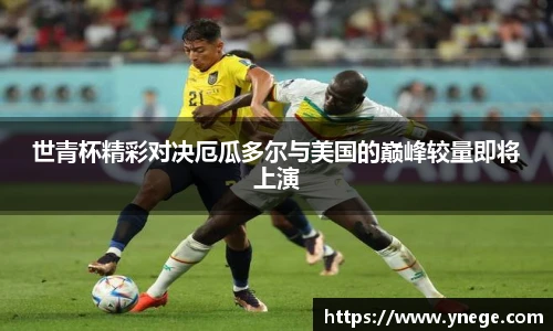 世青杯精彩对决厄瓜多尔与美国的巅峰较量即将上演